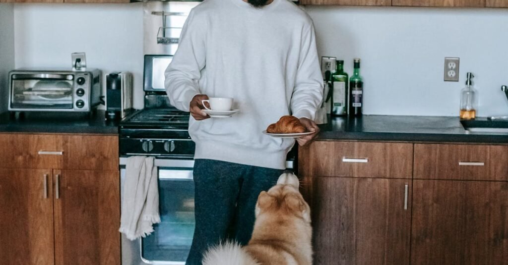 Balancing Treats and Meals: Portion Sizes for Senior Dogs