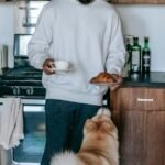 Balancing Treats and Meals: Portion Sizes for Senior Dogs
