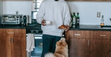 Balancing Treats and Meals: Portion Sizes for Senior Dogs