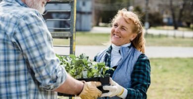 Benefits of Soluble vs. Insoluble Fiber for Aging Dogs