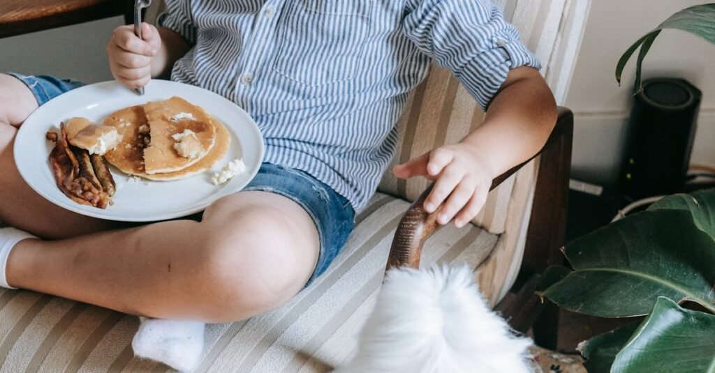 Best Practices for Keeping Senior Dogs Hydrated