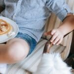 Best Practices for Keeping Senior Dogs Hydrated