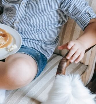 Best Practices for Keeping Senior Dogs Hydrated