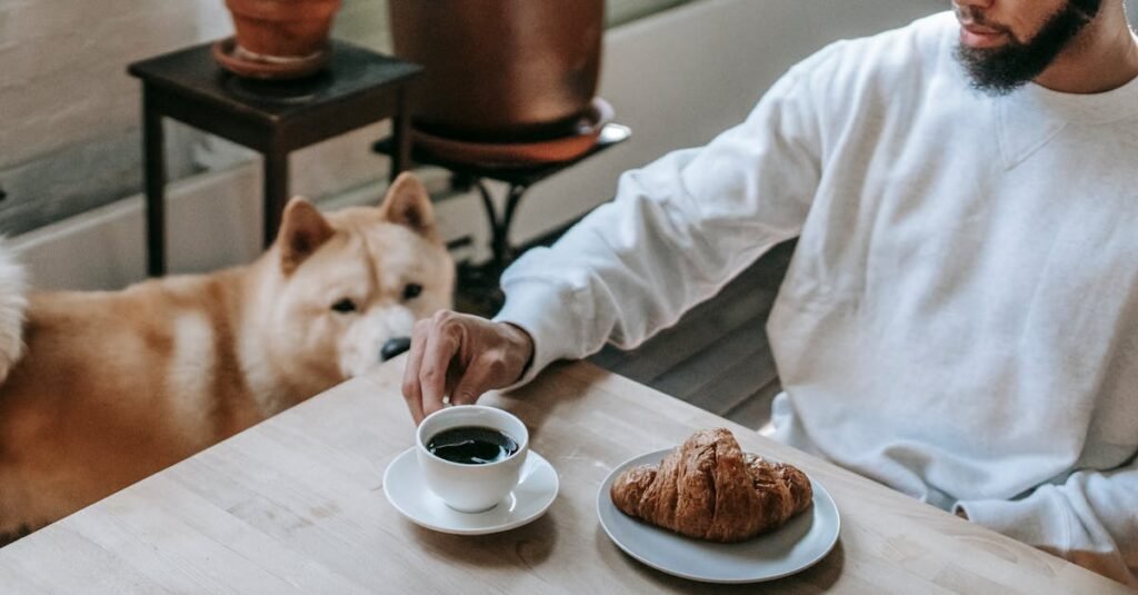 Gradual Transition Techniques for Senior Dog Diets