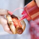 Homemade Dry Dog Food Recipes for Senior Pets