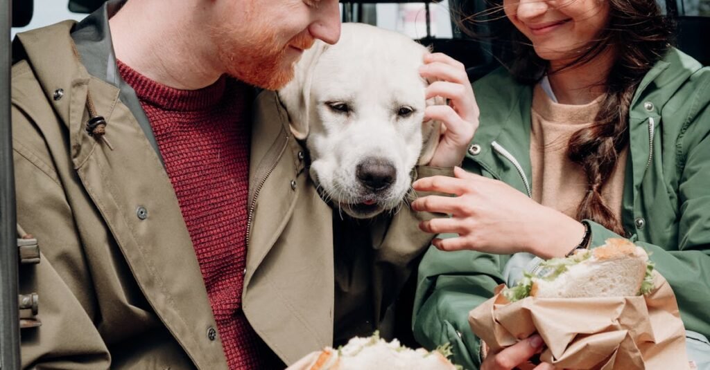Homemade Wet Dog Food Recipes for Senior Canines