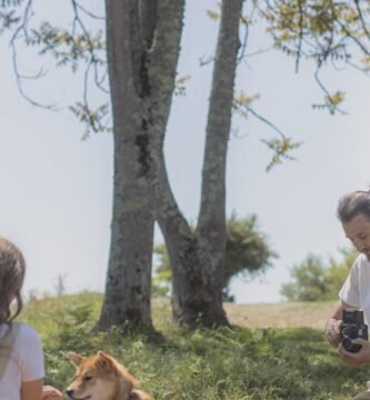 How Fiber Affects Weight Management in Older Dogs