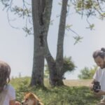 How to Encourage Water Intake in Aging Canines