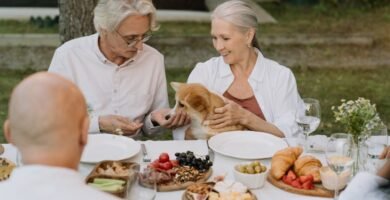 Impact of Fiber on Senior Dog Energy Levels