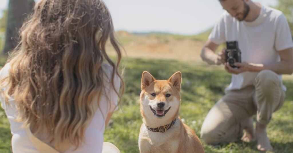Key Ingredients to Look for in Wet Senior Dog Food