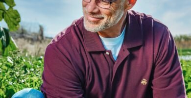 Nutritional Strategies for Creating a Balanced Dry Food Diet