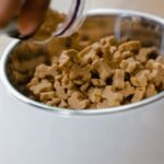 The Role of Dry Dog Food in Dental Health for Seniors