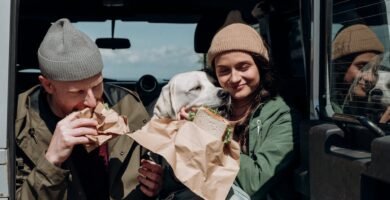 The Role of Portion Control in Maintaining Senior Dog Health