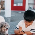 Tips for Measuring and Serving Senior Dog Food Portions