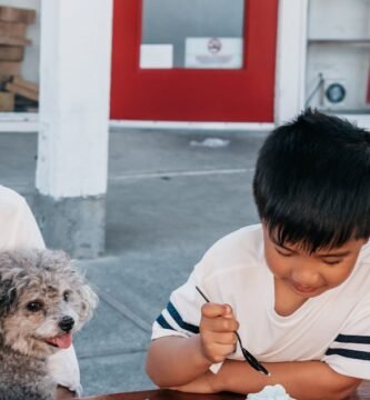 Tips for Measuring and Serving Senior Dog Food Portions