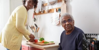 Tips for Mixed Feeding During Senior Diet Transitions