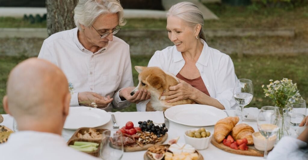 Top Nutrients to Support Senior Dog Health