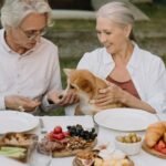 Top Nutrients to Support Senior Dog Health