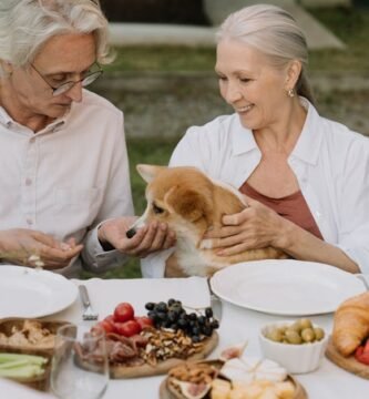 Top Nutrients to Support Senior Dog Health