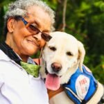 Understanding Fiber’s Role in Senior Dog Stool Quality