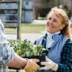 Understanding Ingredients in Dry Senior Dog Food