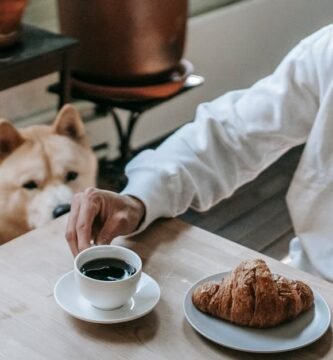 Understanding Protein Quality for Senior Dogs