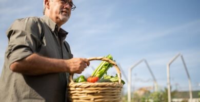 Why Monitoring Meal Times Matters for Aging Dogs